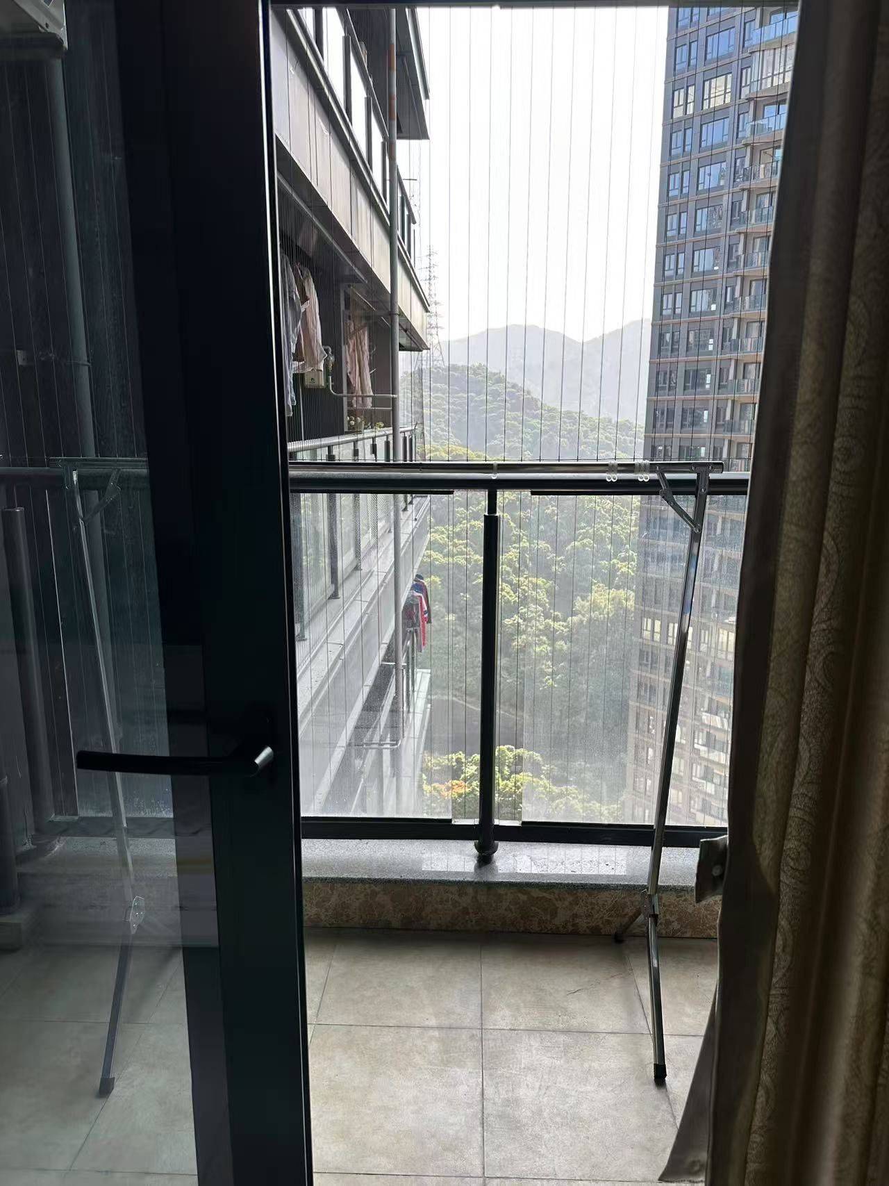 深圳-南山-溫馨小窩,乾淨治愈,不限性別,慢時光,LGBTQ友好,寵物友好