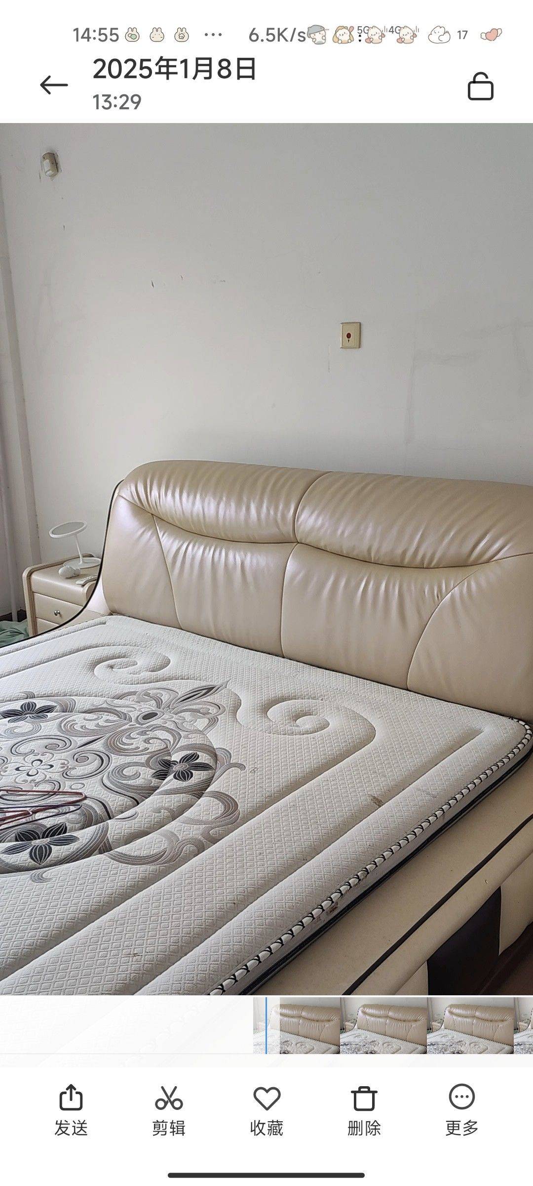 Hangzhou-Fuyang-Pet Friendly