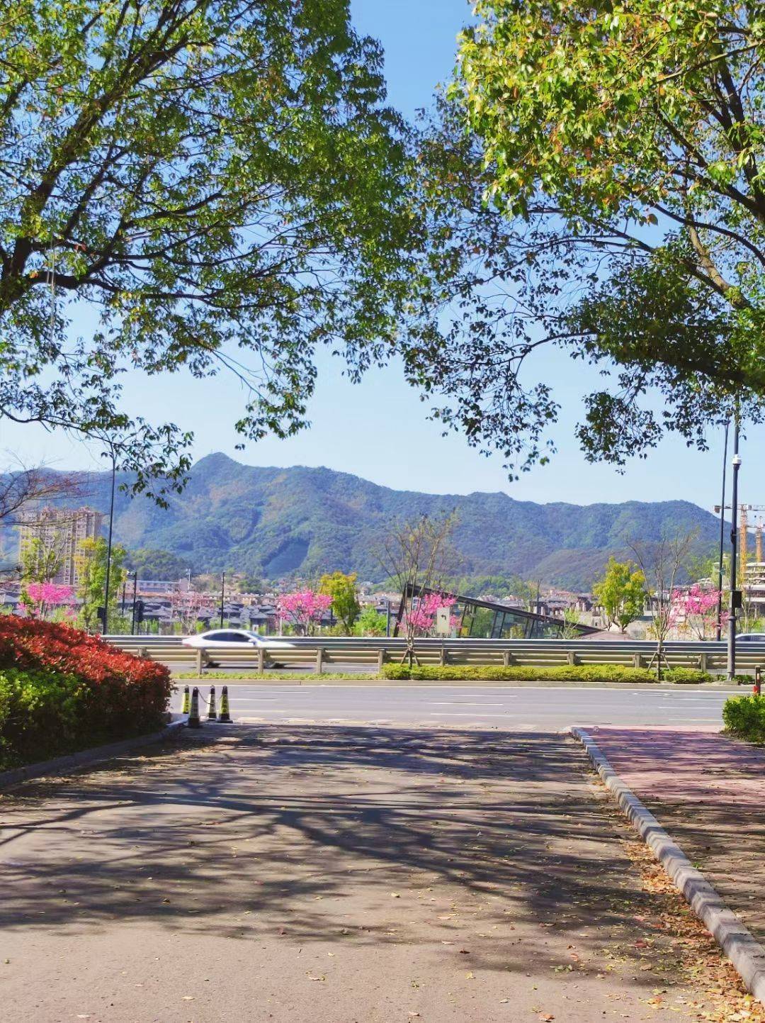 Hangzhou-Fuyang-Pet Friendly