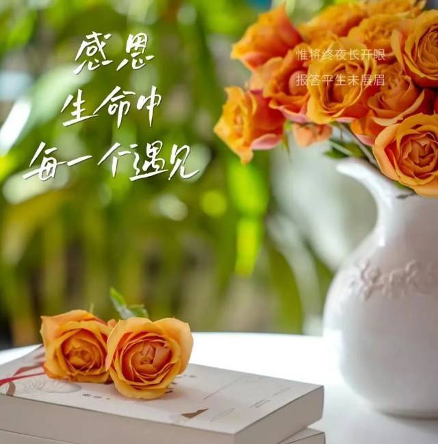 晴子