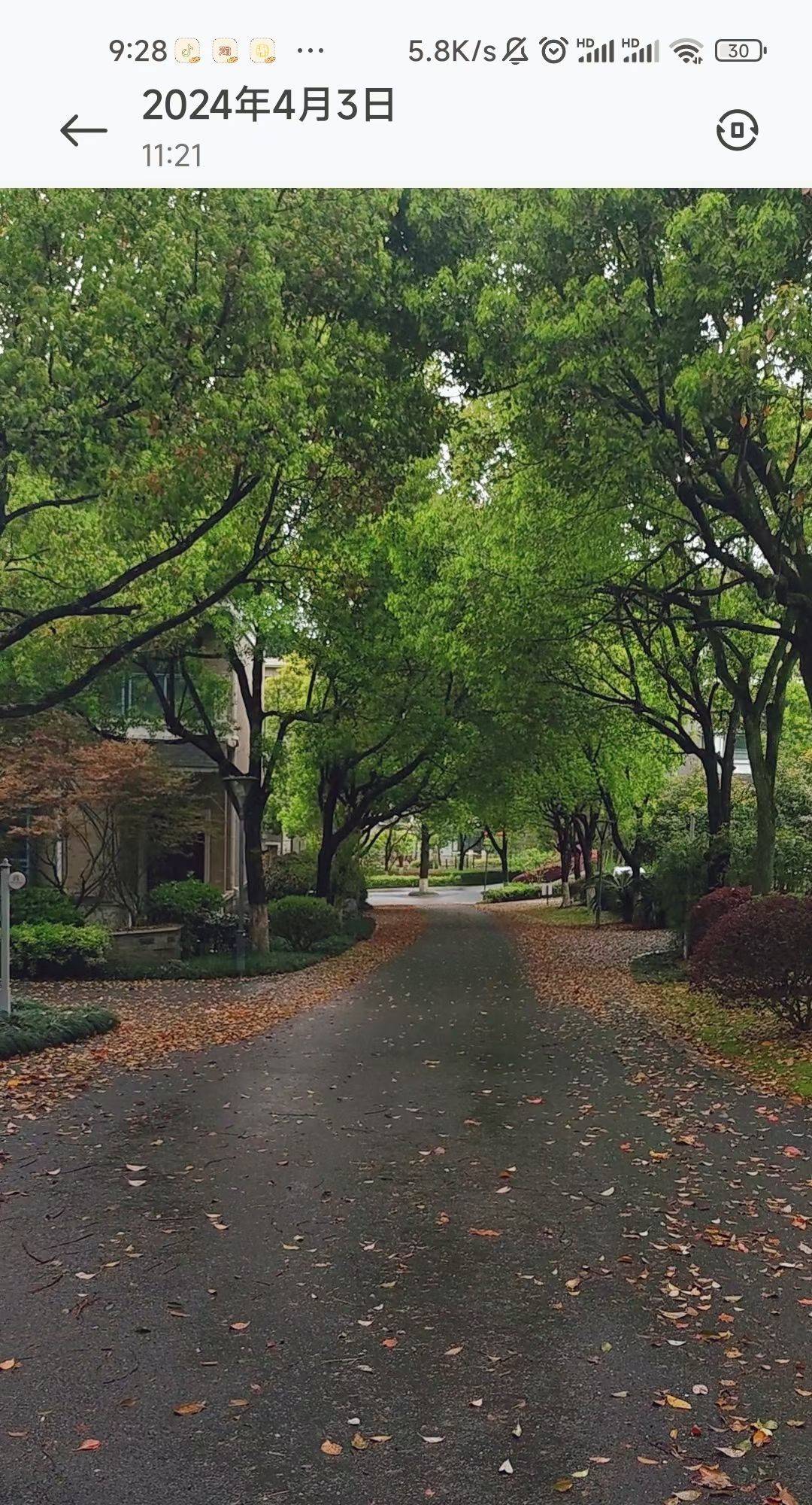 Hangzhou-Fuyang-Pet Friendly