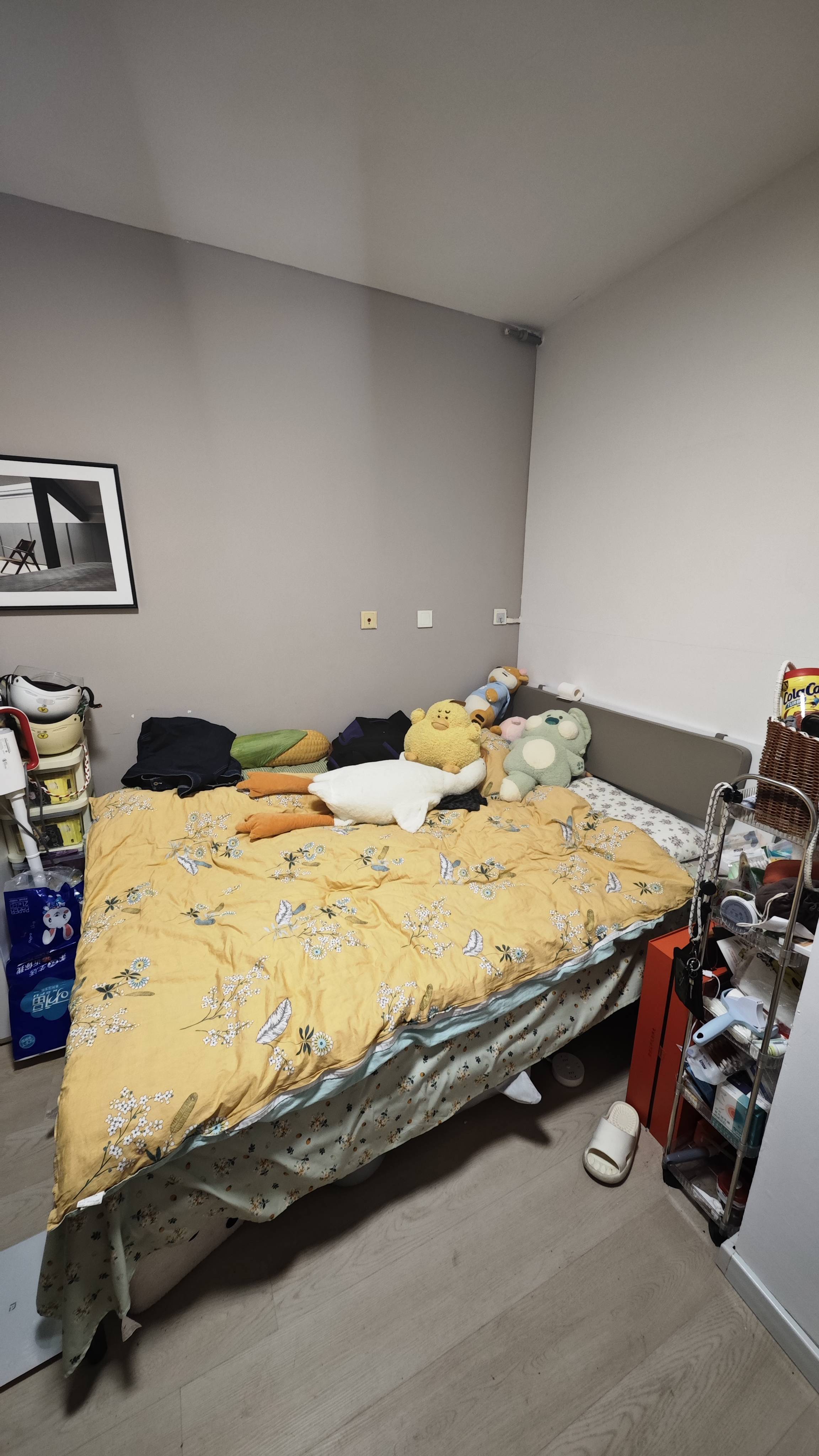 Shanghai-Baoshan-Cozy Home,No Gender Limit,Pet Friendly