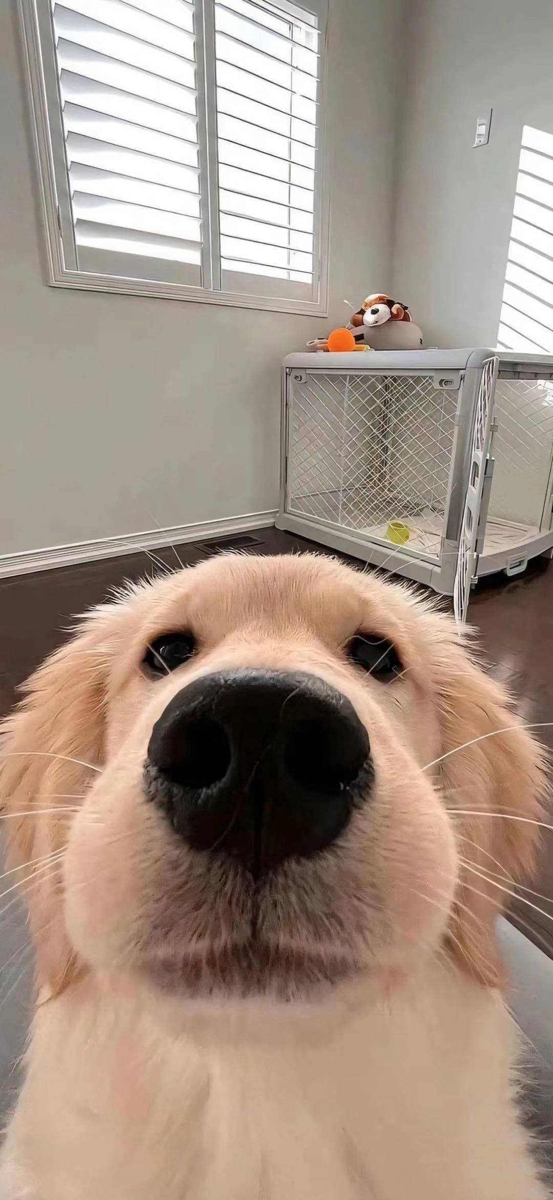 盐