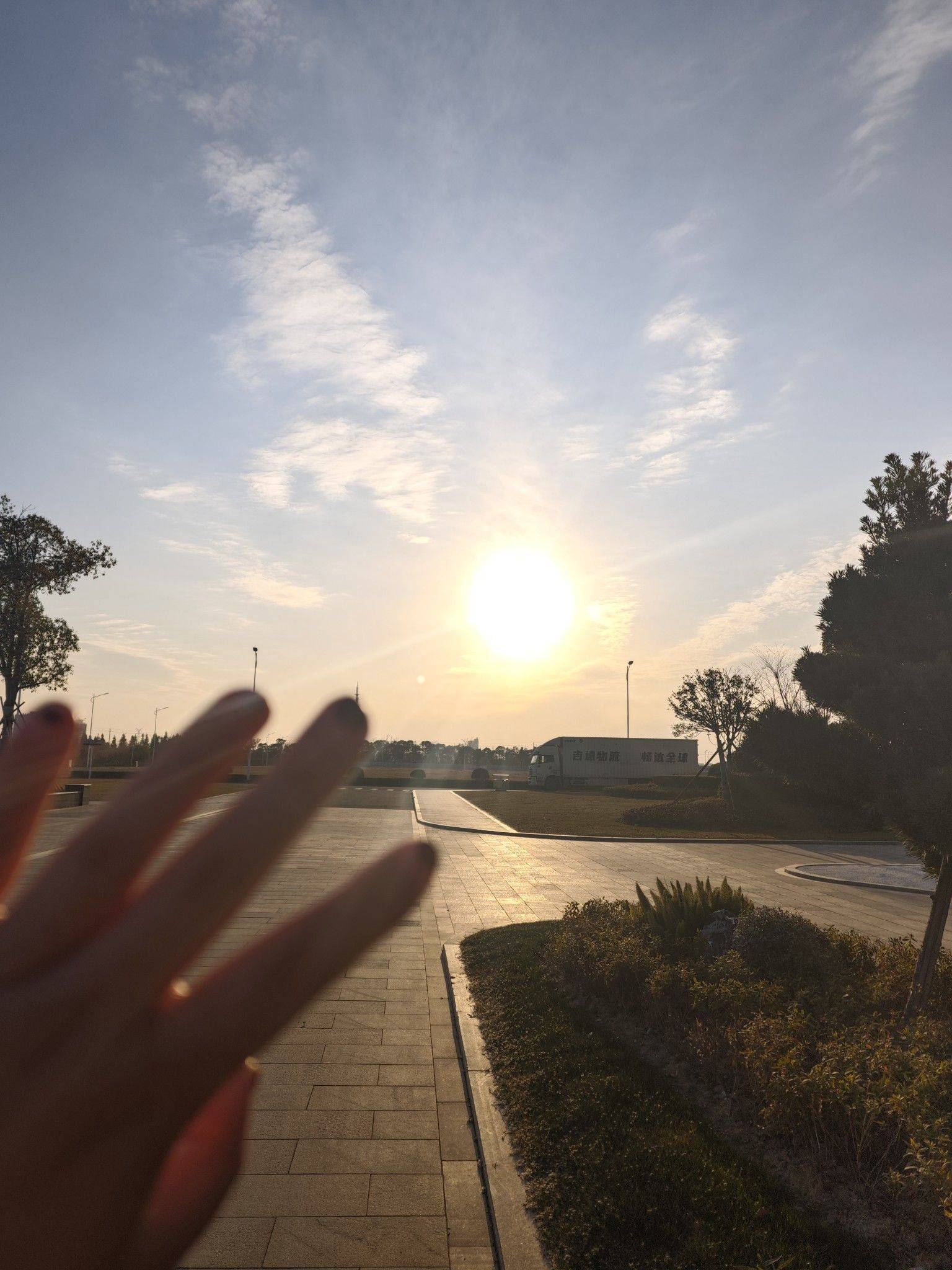 小马