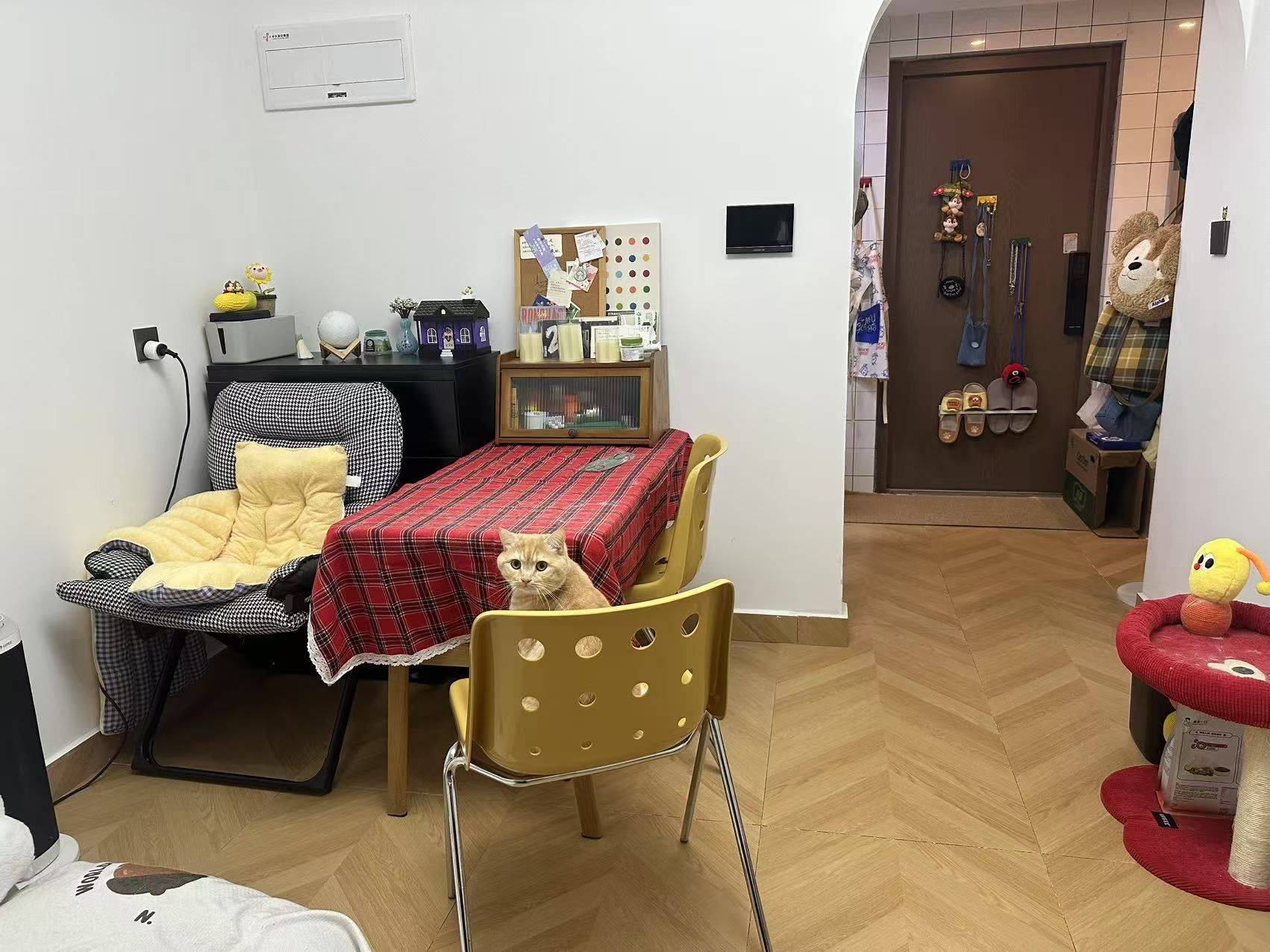 杭州-临安-温馨小窝,干净治愈,不限性别,市井烟火气,慢时光