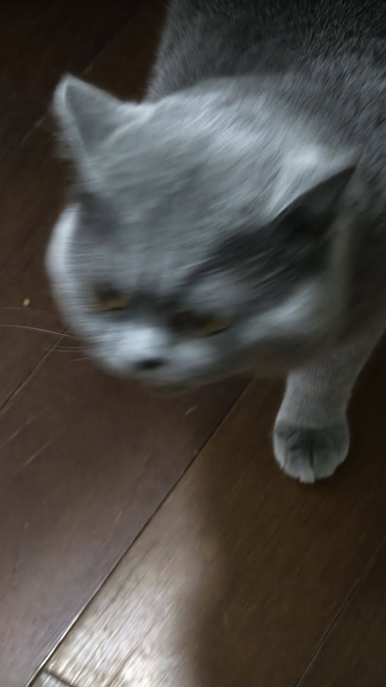 。