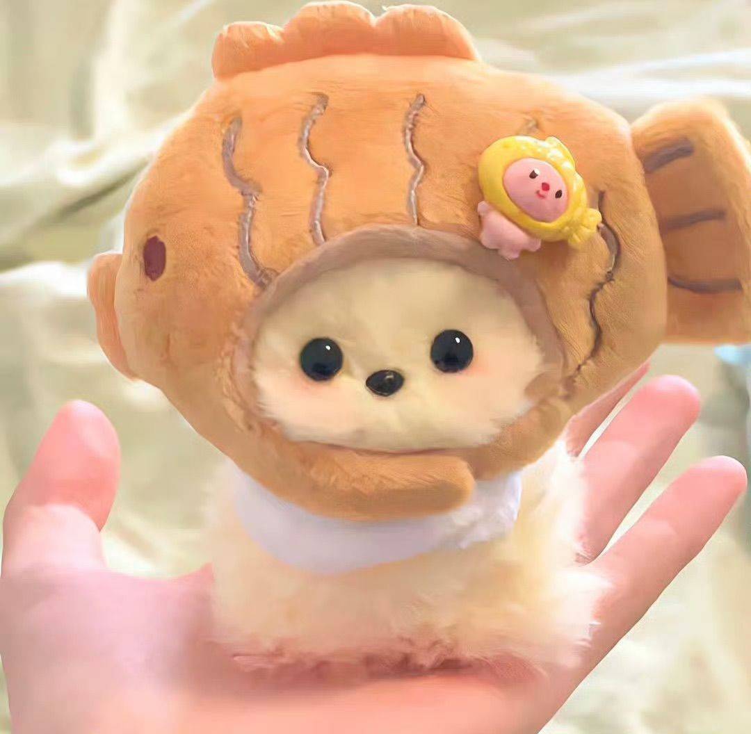 租房