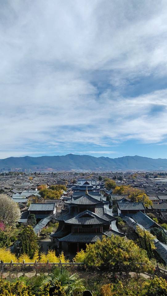 黎婺