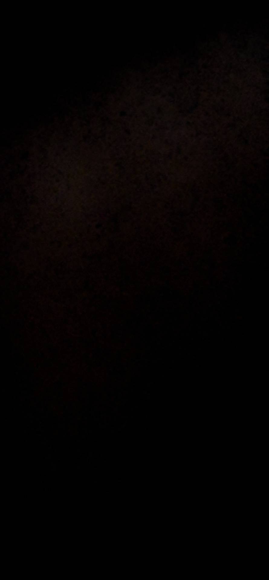 随便