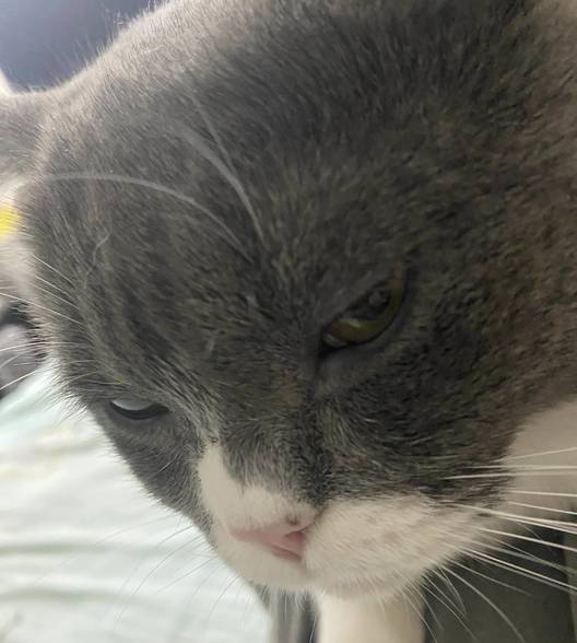 找房子