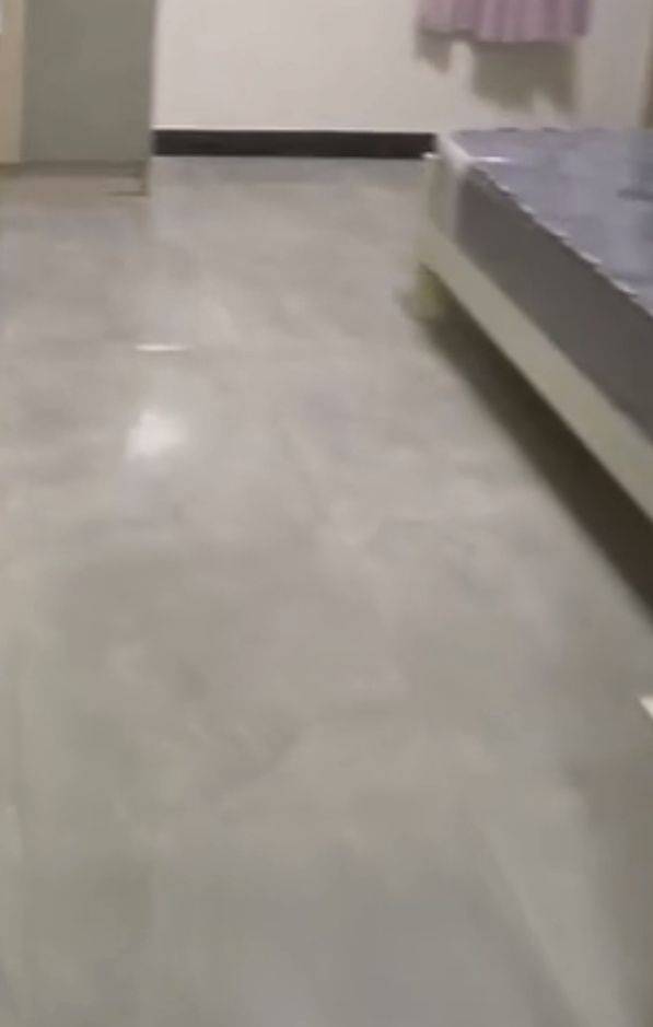 Shanghai-Pudong-Cozy Home,Clean&Comfy,No Gender Limit,Pet Friendly