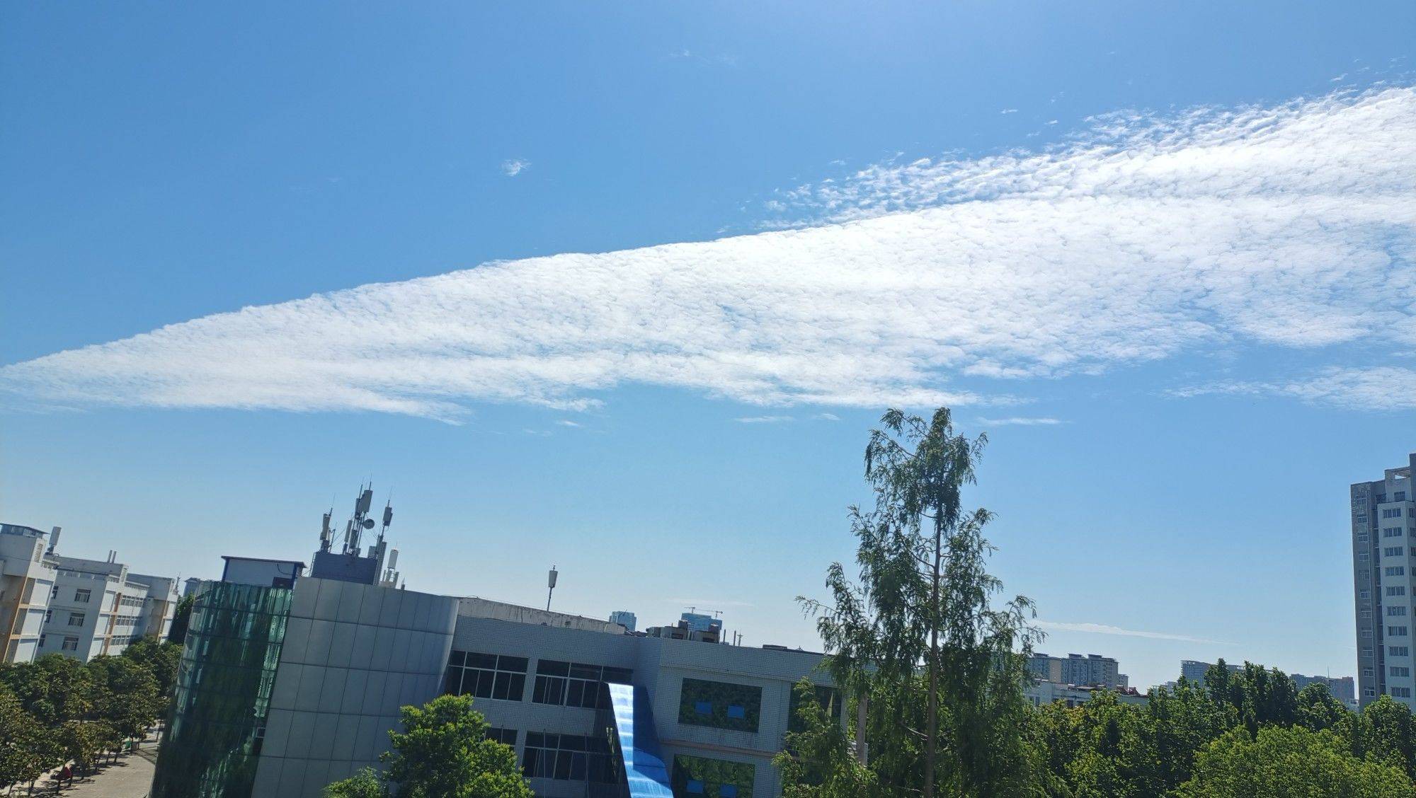 白日梦