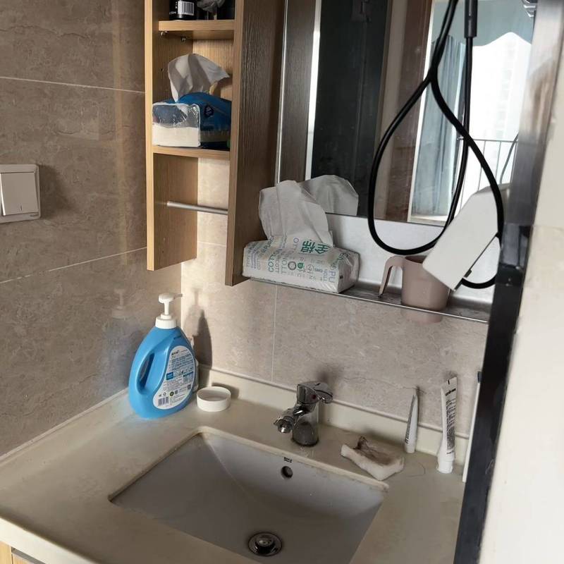 東莞 清溪 | 融创·清溪壹号_3