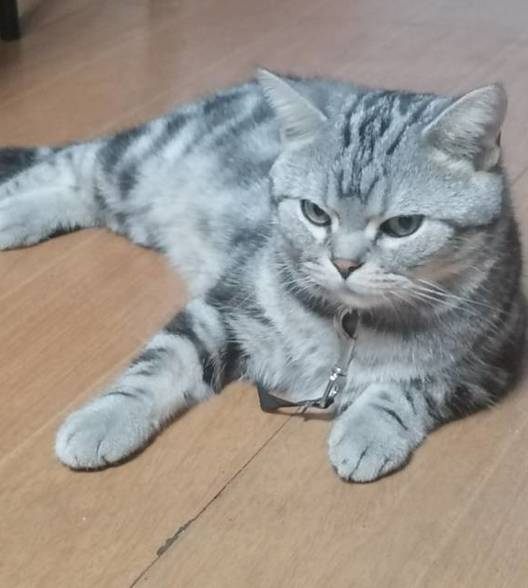 嵊州