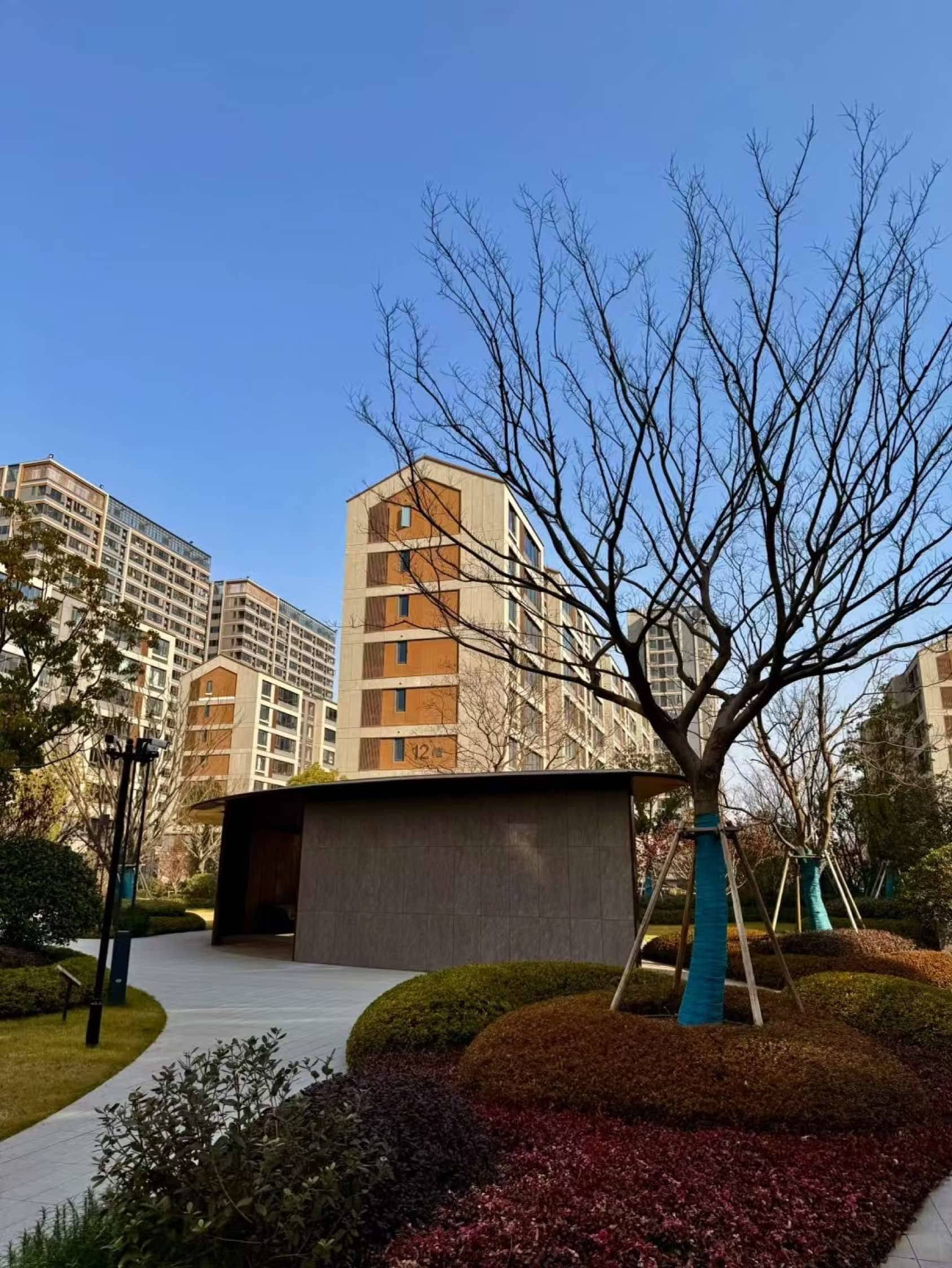 合肥-包河-温馨小窝,不限性别,市井烟火气
