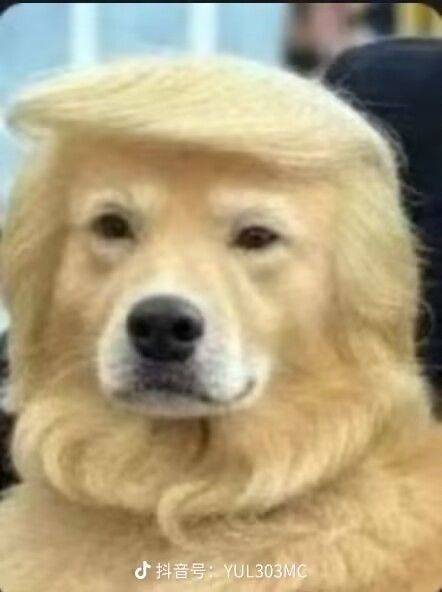 米麦嘛米麦麦