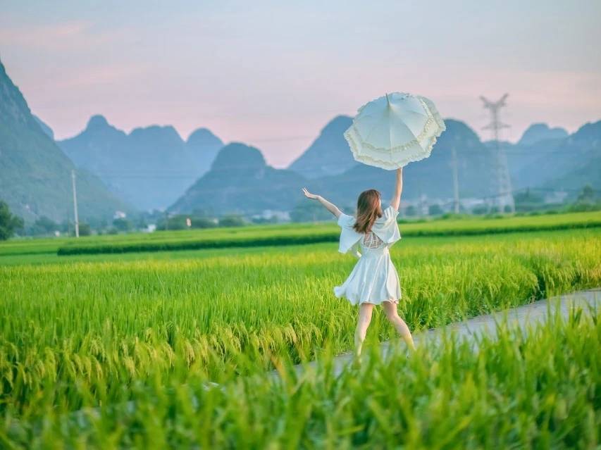 春华