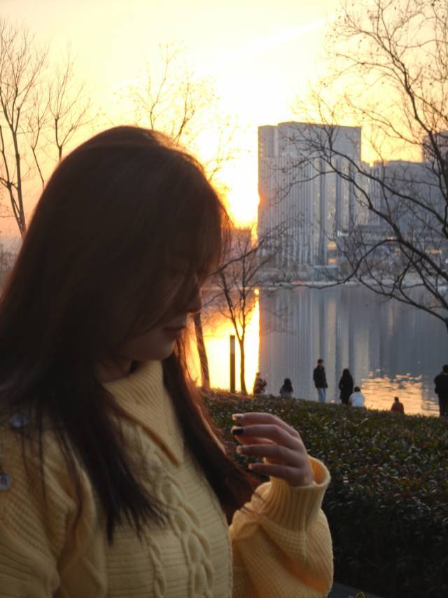 山茶花