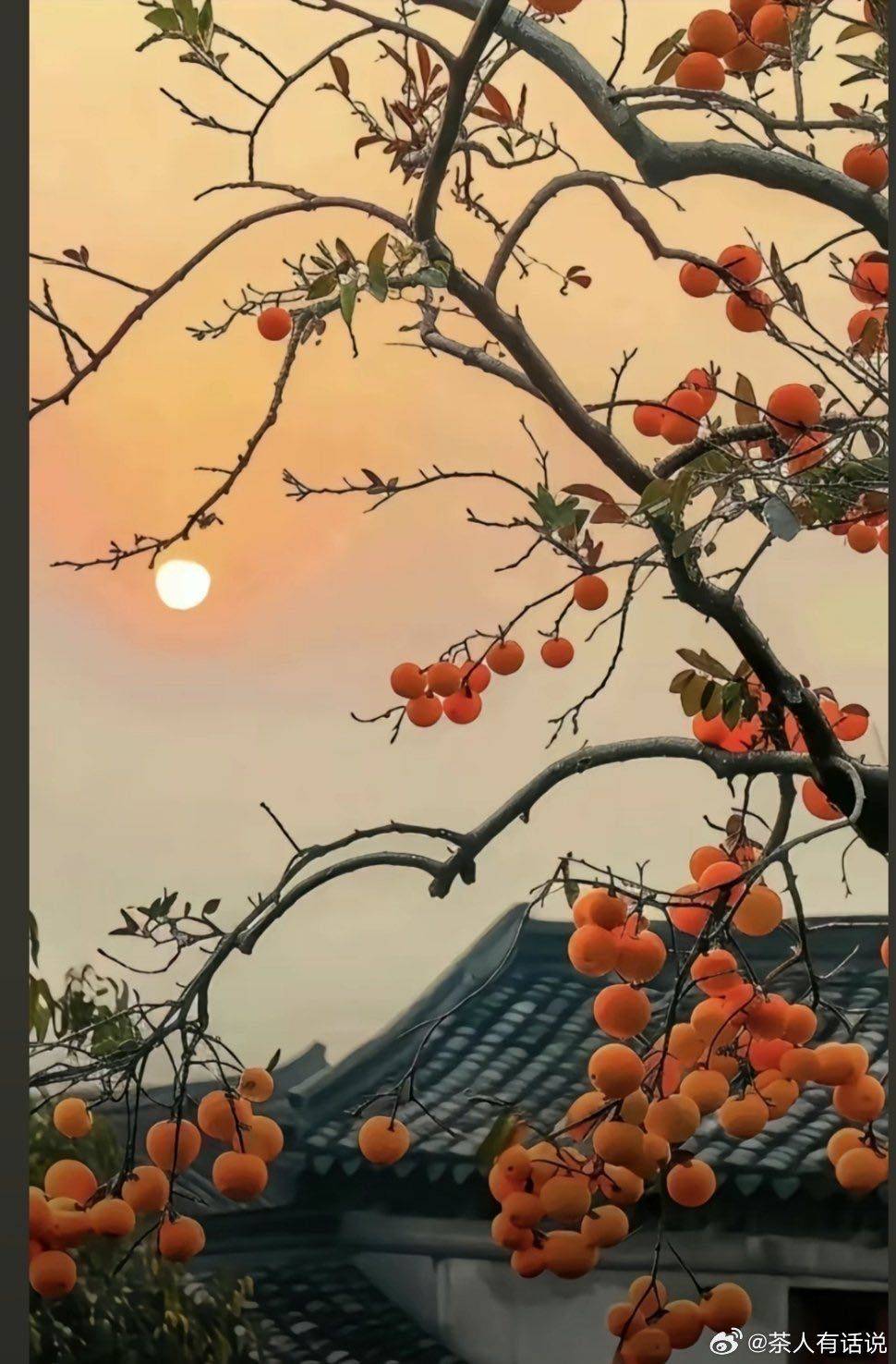 Katy妈妈乐悠悠