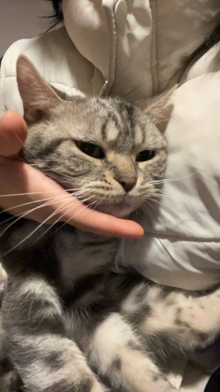 I 