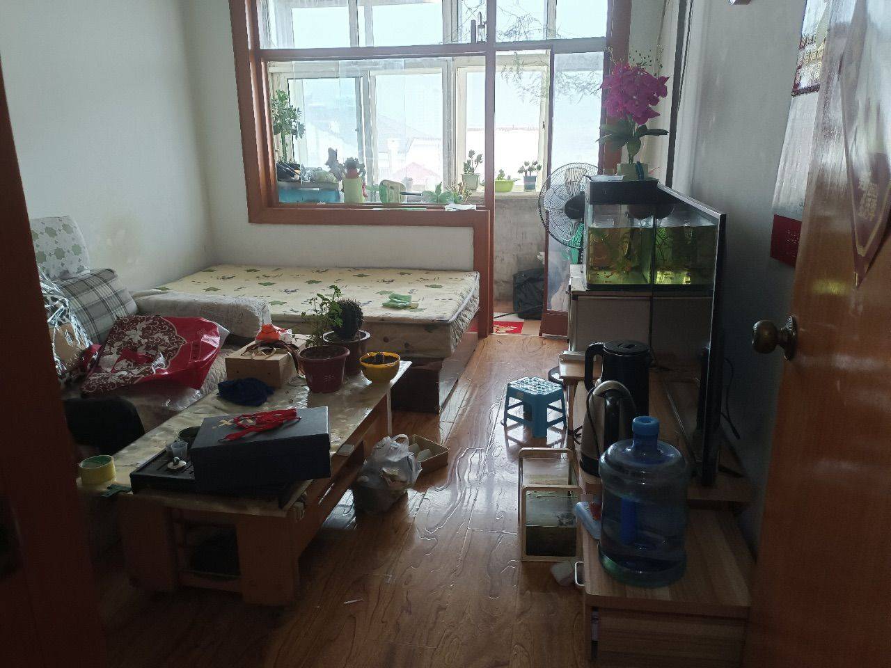 Qingdao-Shibei-Cozy Home,Clean&Comfy,No Gender Limit,Hustle & Bustle,Pet Friendly