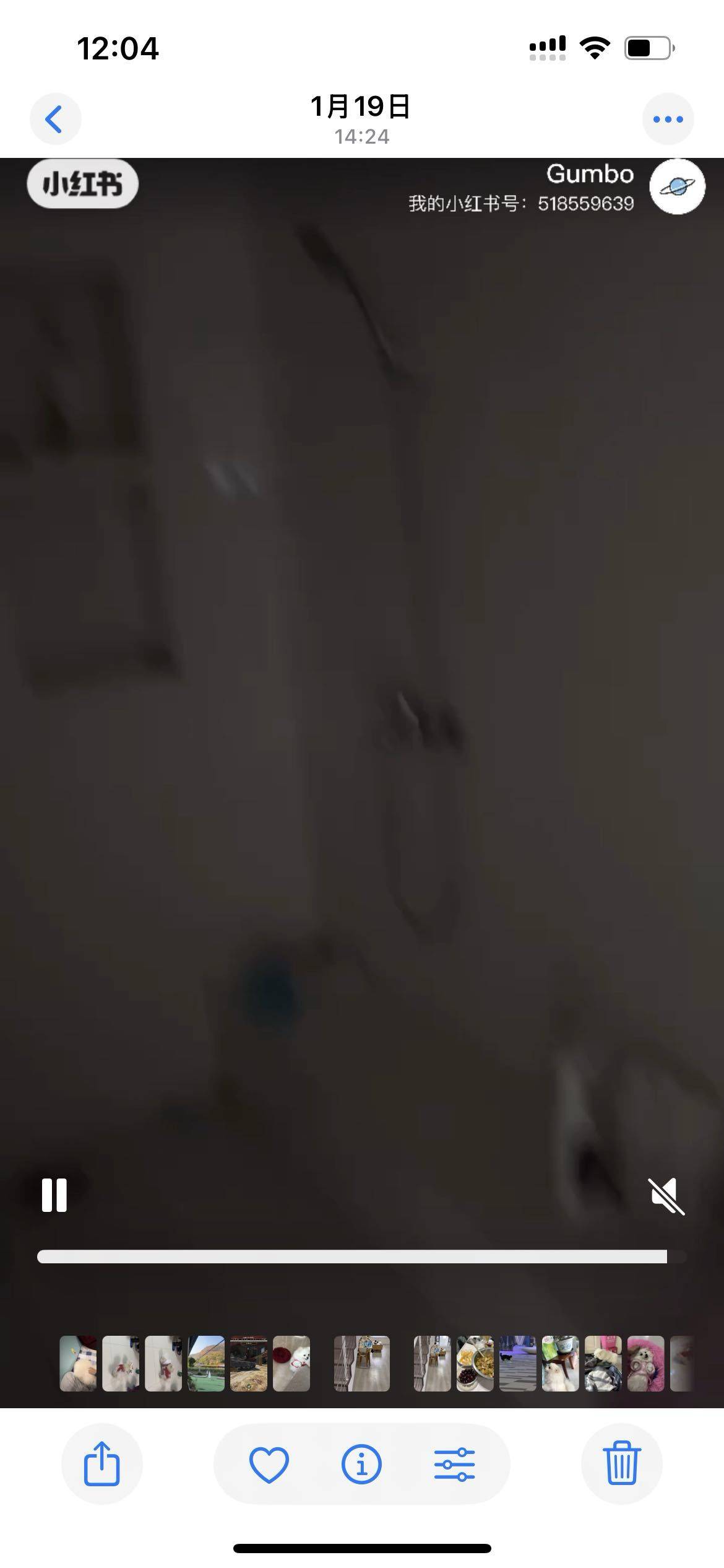 Chengdu-Shuangliu-Cozy Home,Clean&Comfy,No Gender Limit