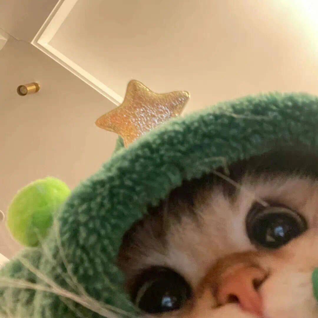雨