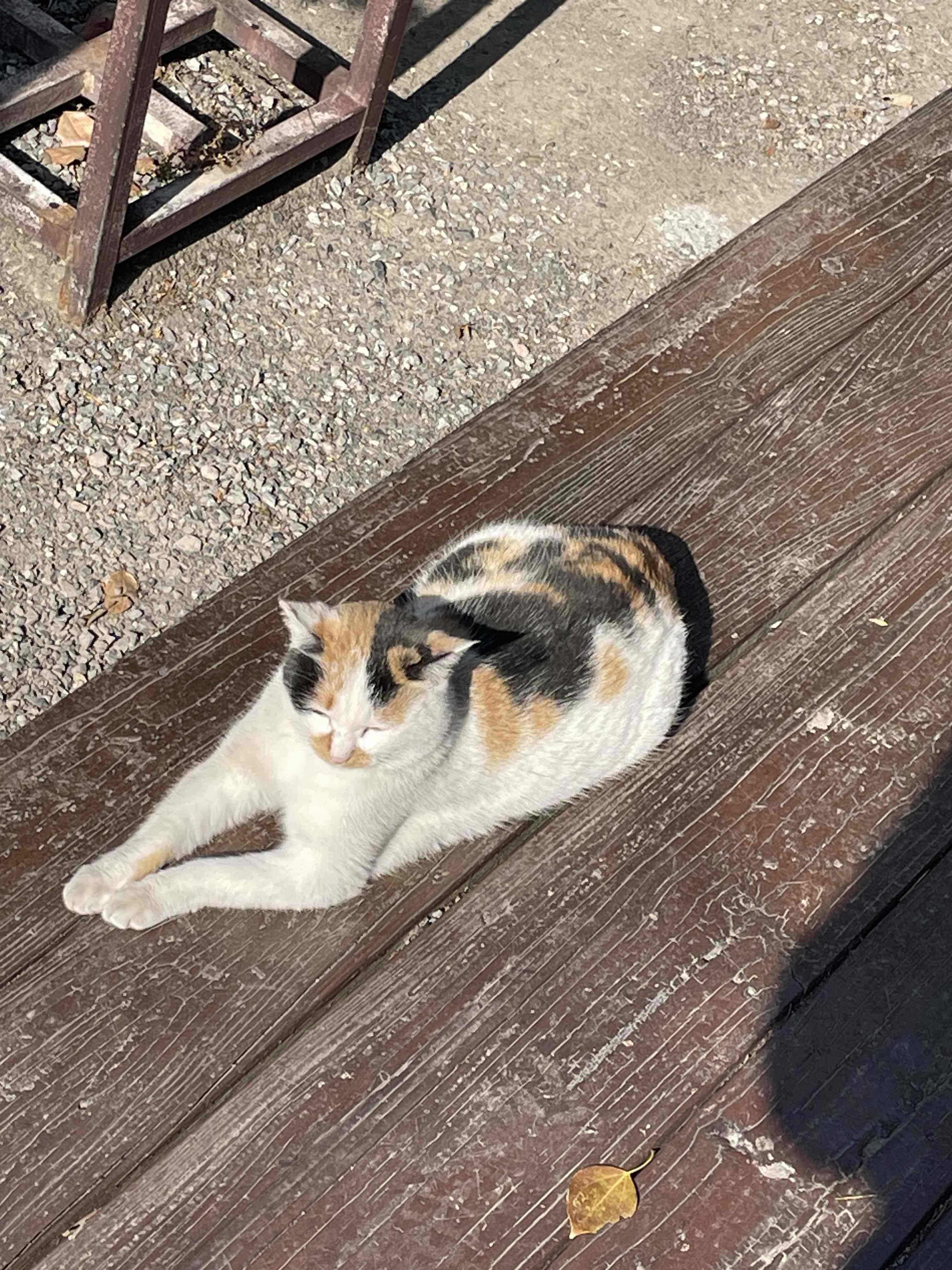 Luna