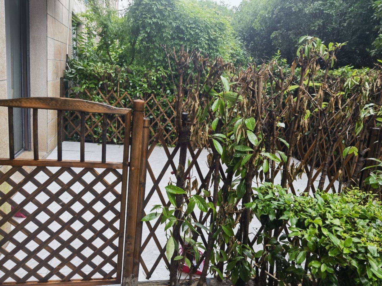 Shanghai-Baoshan-“Friends”,Chilled