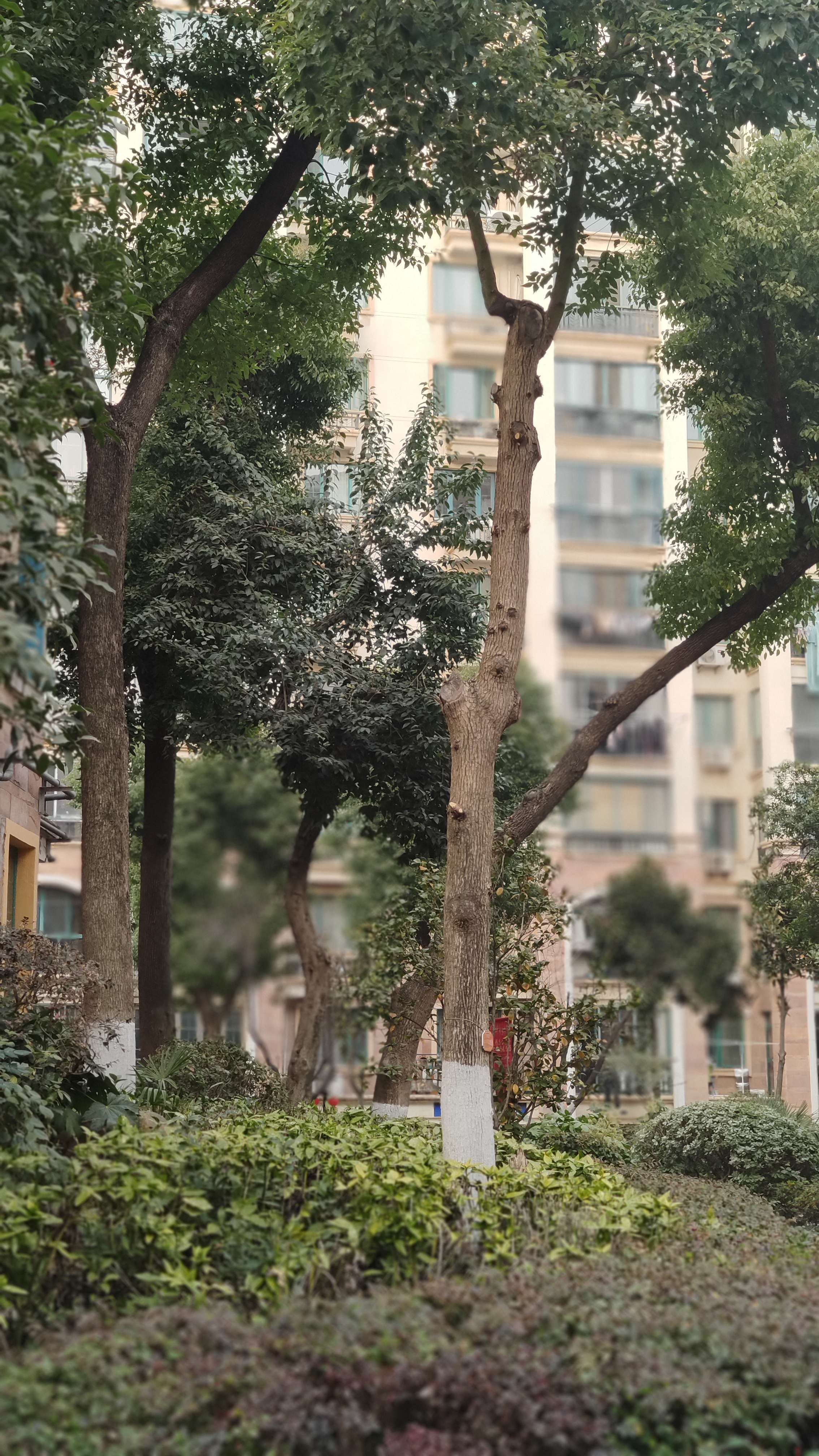 Nanjing-Jiangning-Cozy Home,Clean&Comfy,No Gender Limit,Hustle & Bustle