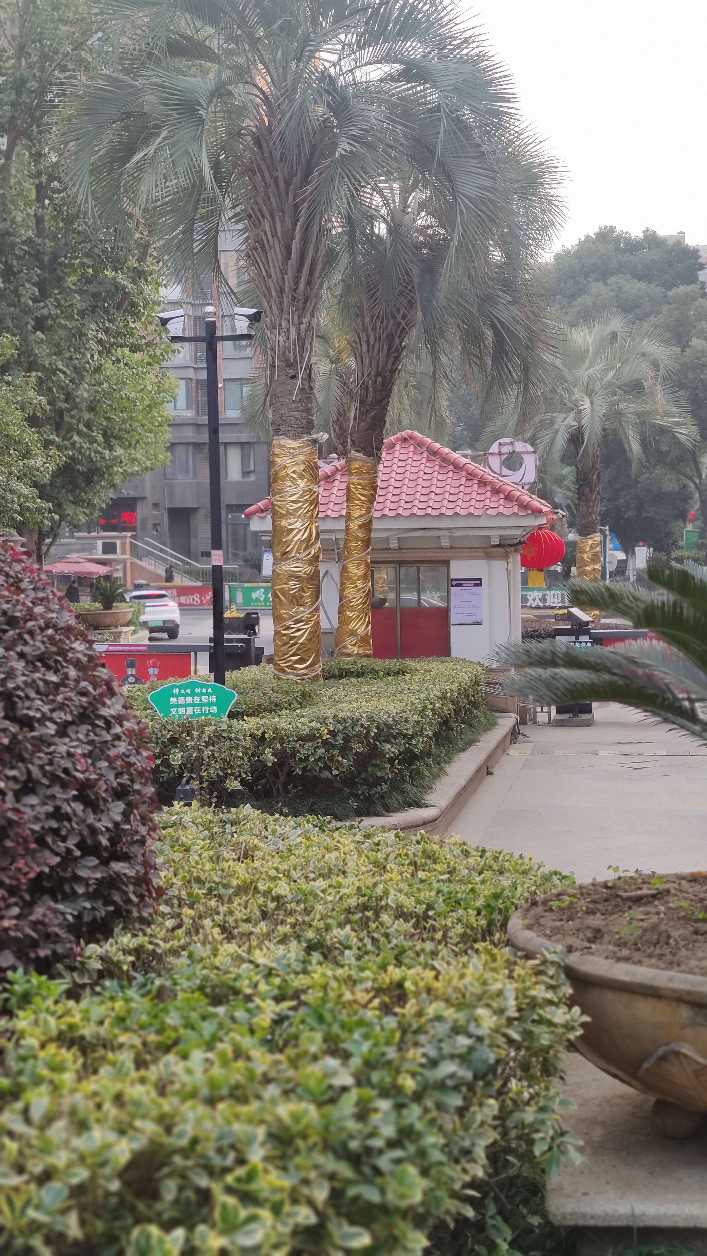 Nanjing-Jiangning-Cozy Home,Clean&Comfy,No Gender Limit,Hustle & Bustle