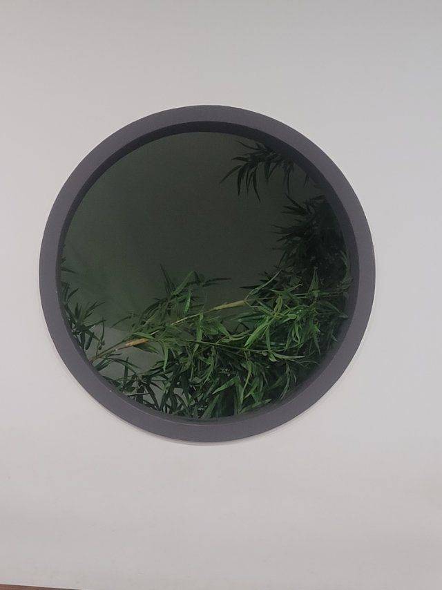 科学的讨饭