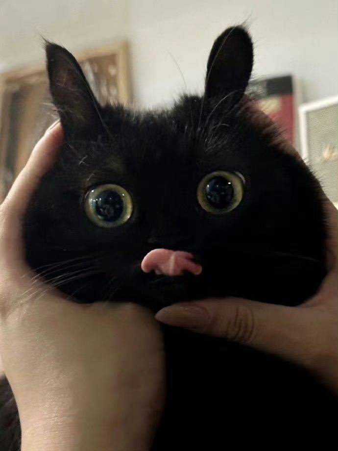 溜溜