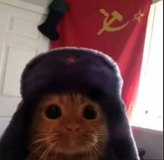 程序员