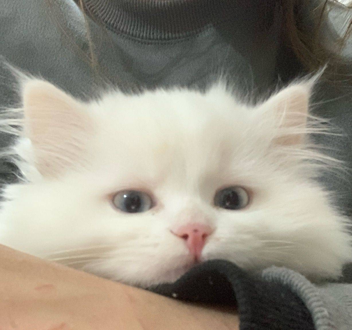 小雪人