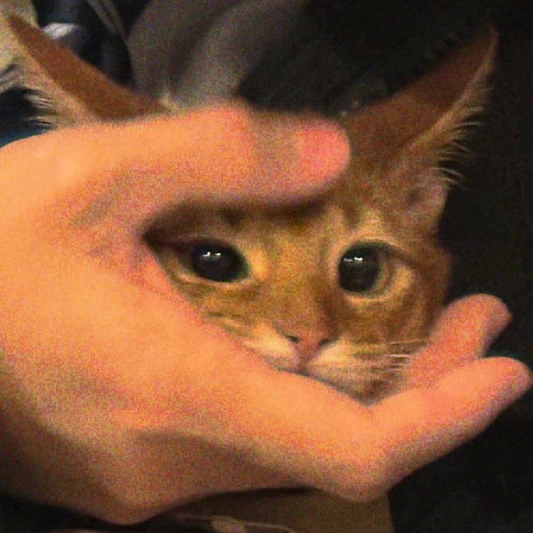 Kusoo
