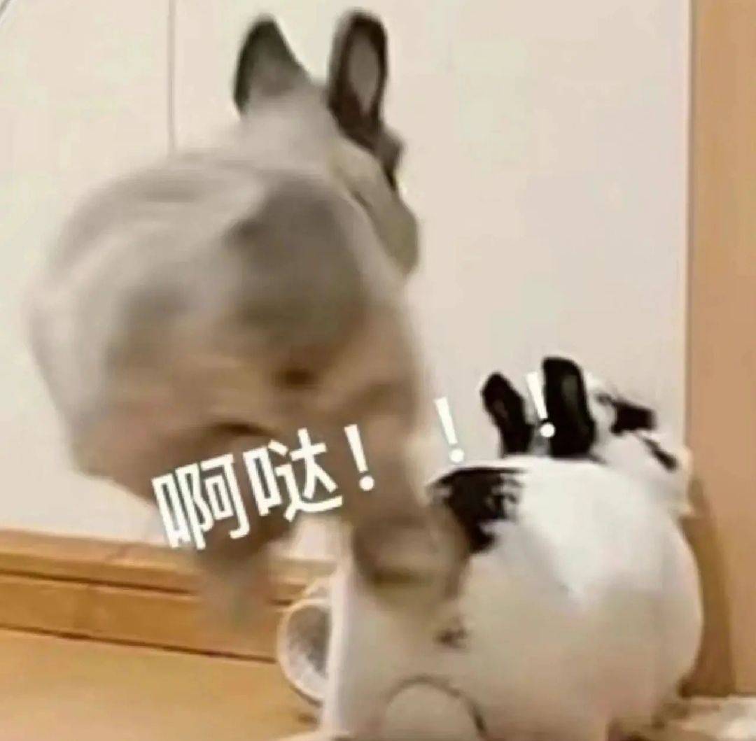.转租哒.....