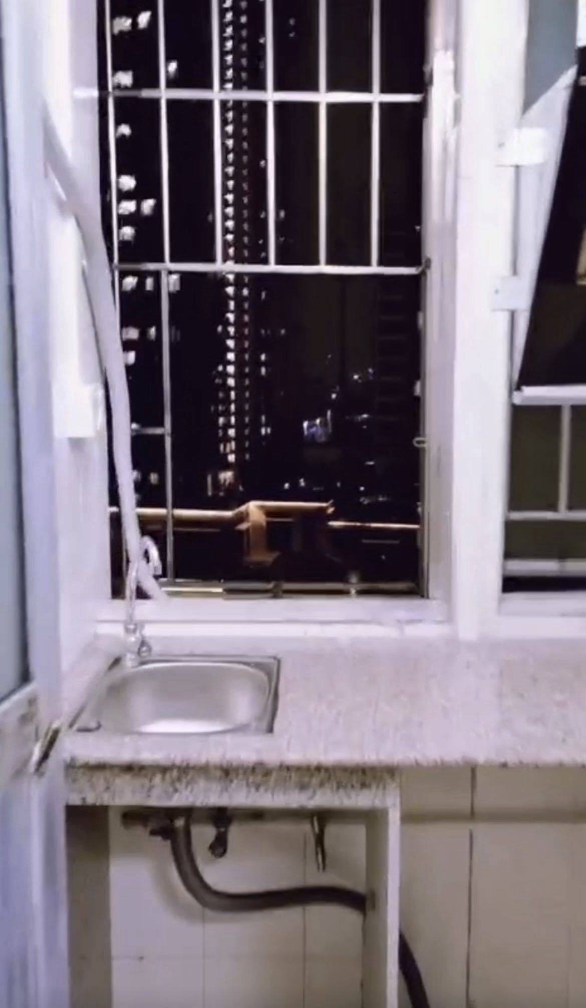 深圳 宝安 | 麦田生活之家(茭塘)_4