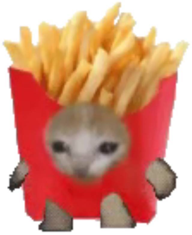 CuteHmmz