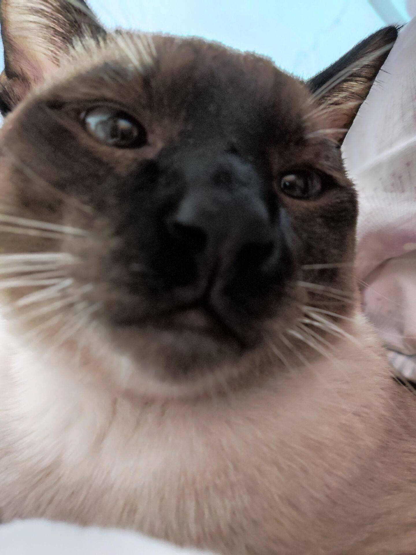 Z☡zᶻ