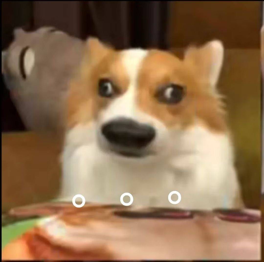 哈