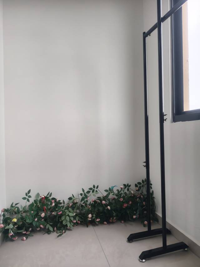 上海-浦東-溫馨小窩,乾淨治愈,不限性別,市井煙火氣,老友記,慢時光