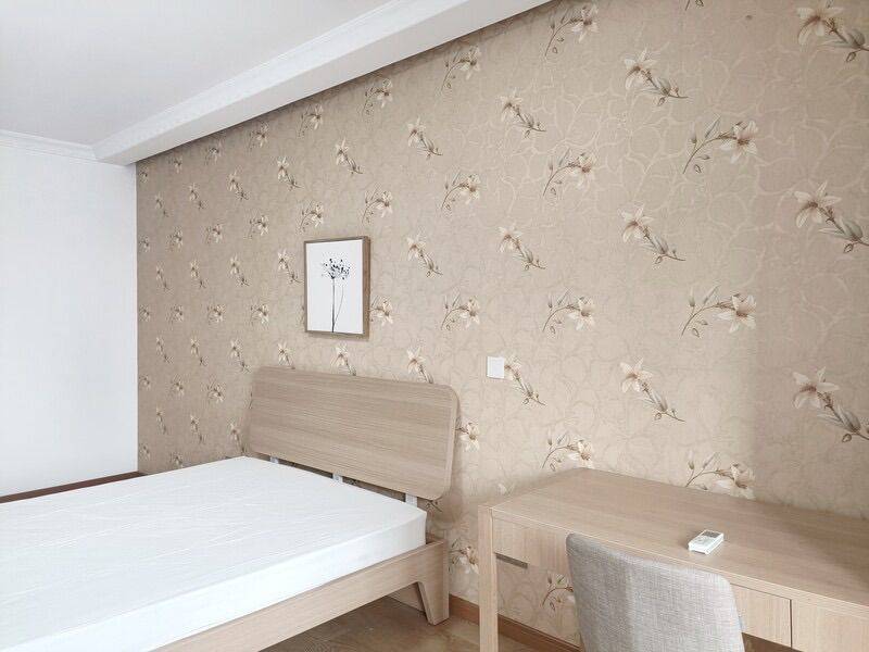 上海-普陀-温馨小窝,干净治愈,不限性别,市井烟火气,老友记,慢时光,宠物友好