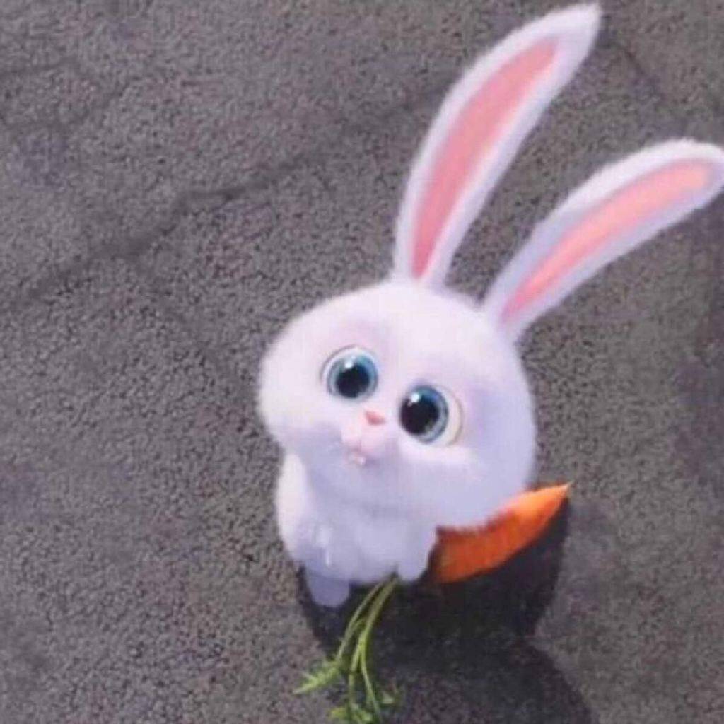 碧湖边的白桦林