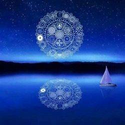 忠厚机敏的当归