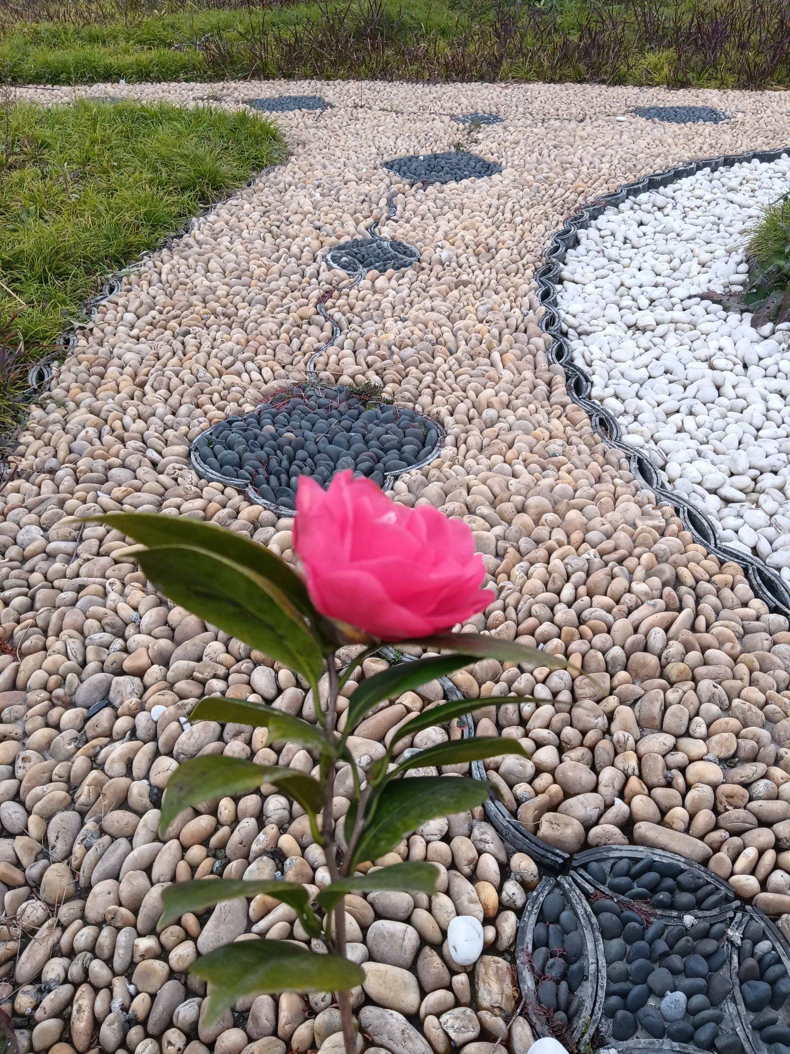 晴空万里