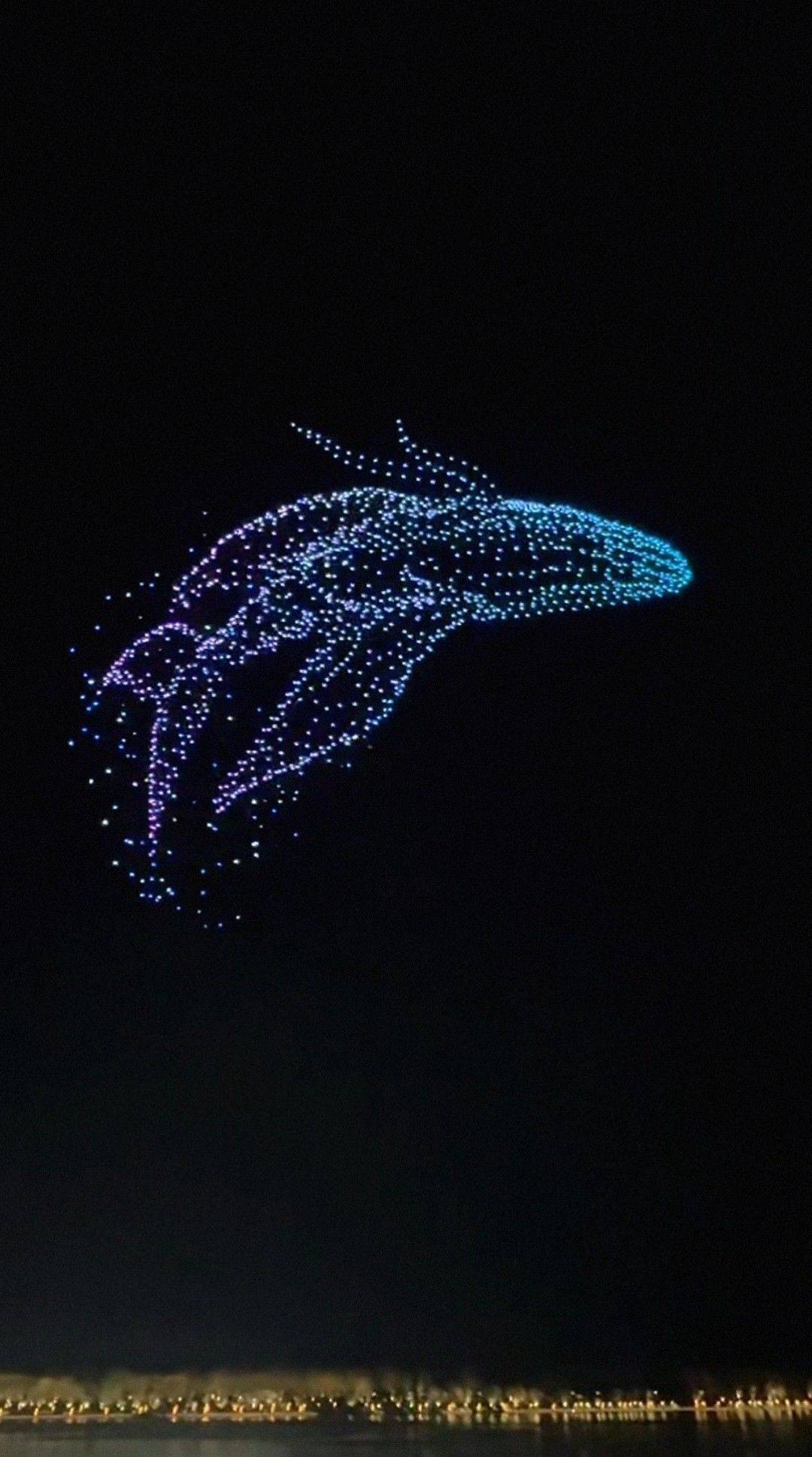 这只是一个代号