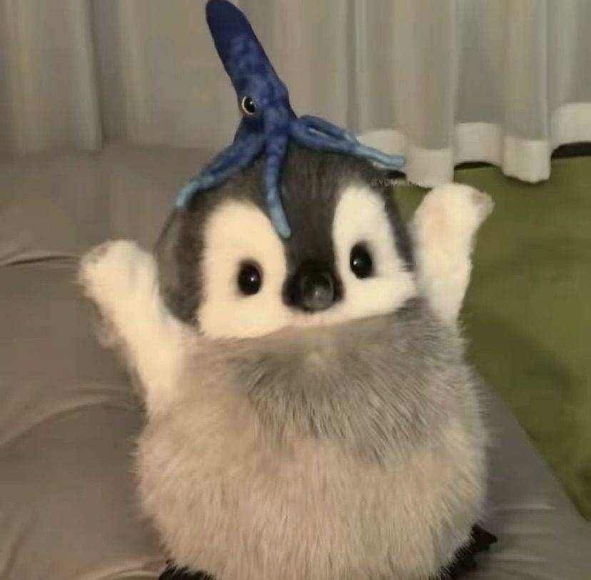 kk
