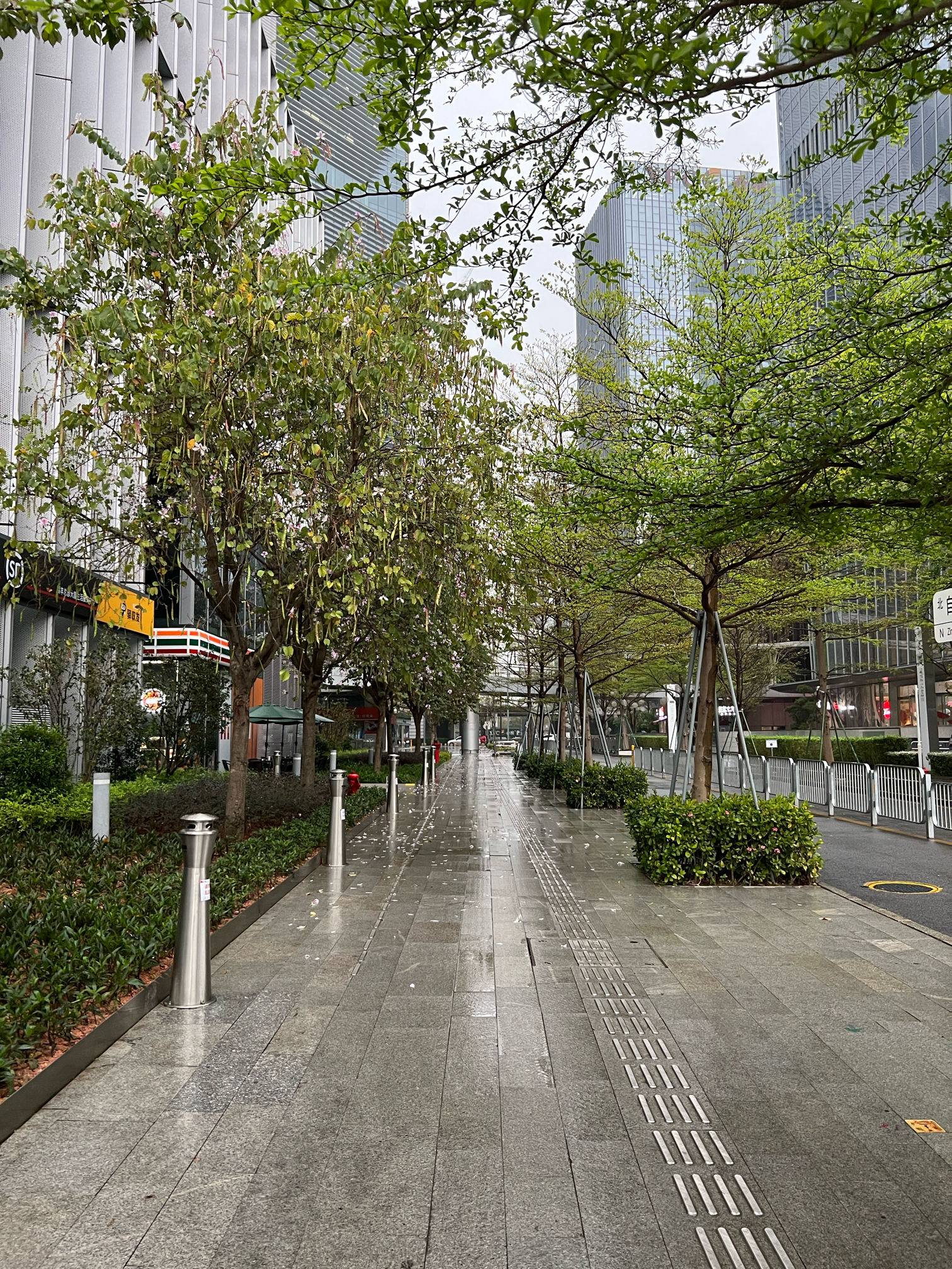 冰橙