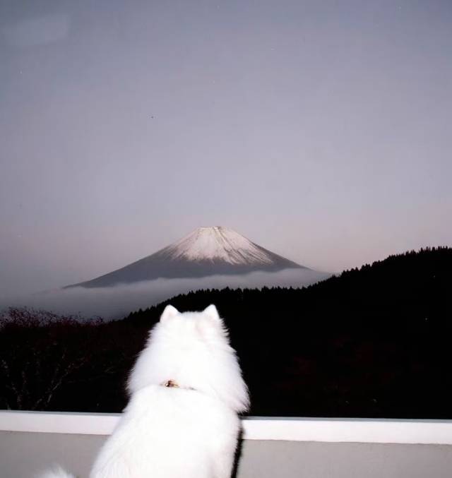 hh